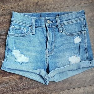 Holloster Women's Shorts